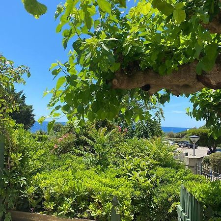 Joli Studio De Vacances Vue Mer 索塞莱潘 外观 照片